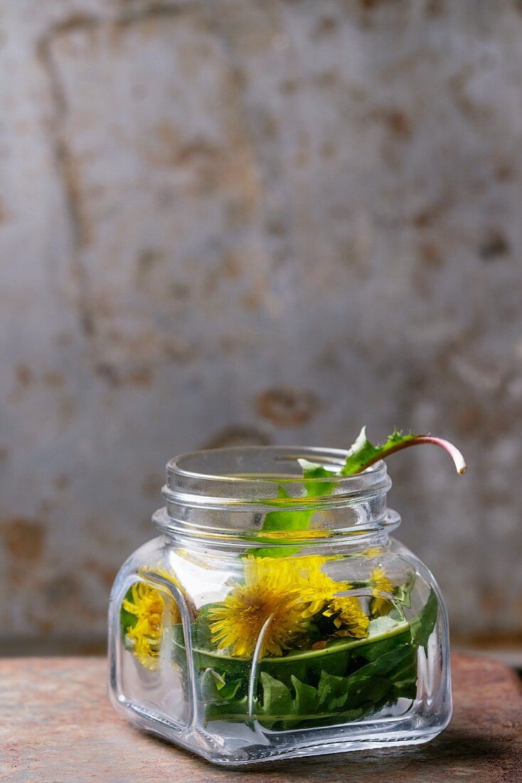 Dandelion leaves and flowers in a jar on a rusty metal surface