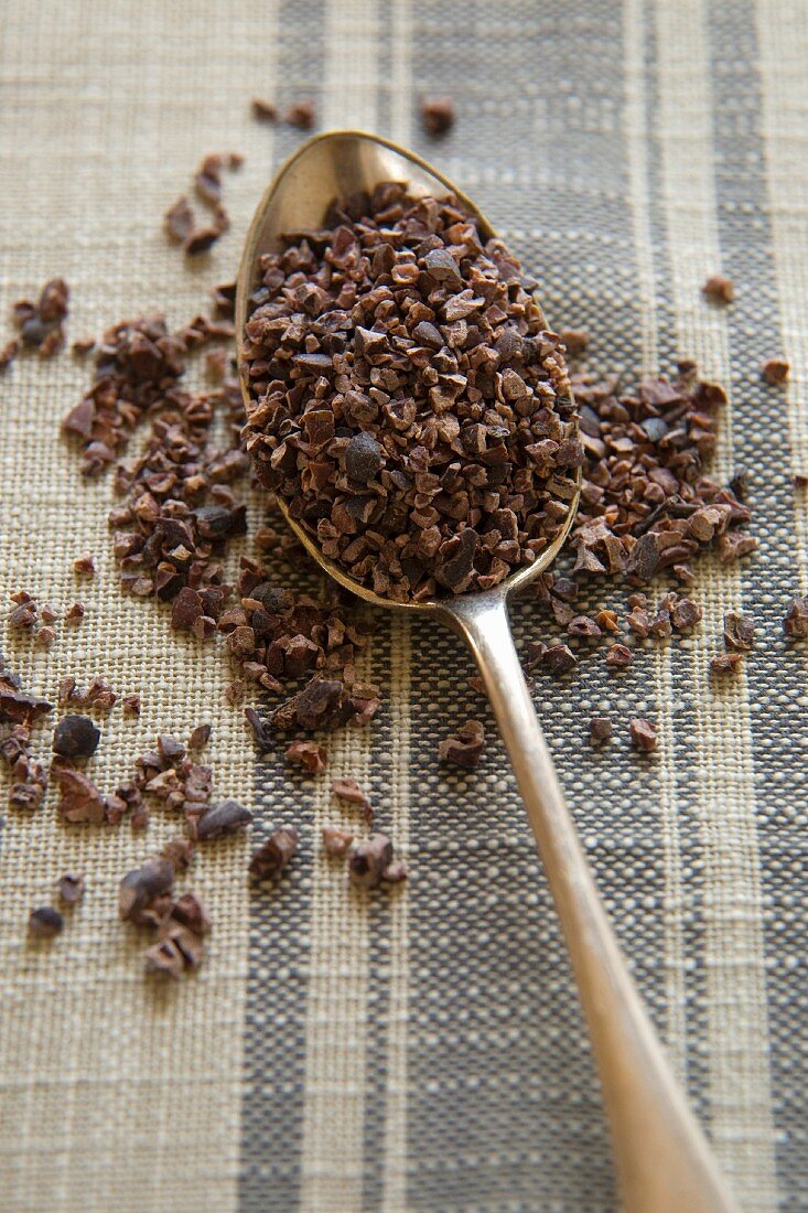 Cacao nibs on a spoon