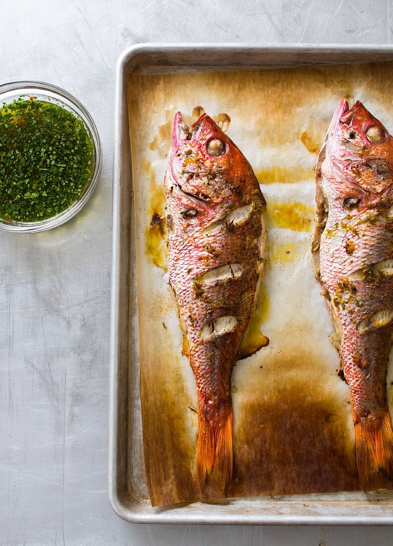 Zwei ganze gebackene Red Snapper auf Backblech