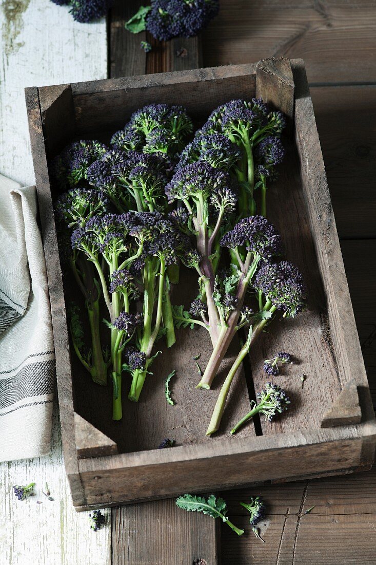 Purple broccoli in a wooden crate