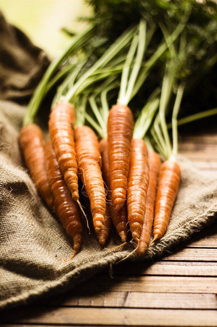 Fresh carrots on a linen cloth