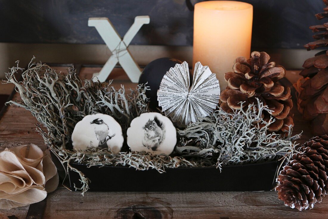 Festive arrangement of lichen and furniture knobs hand-painted with birds in box