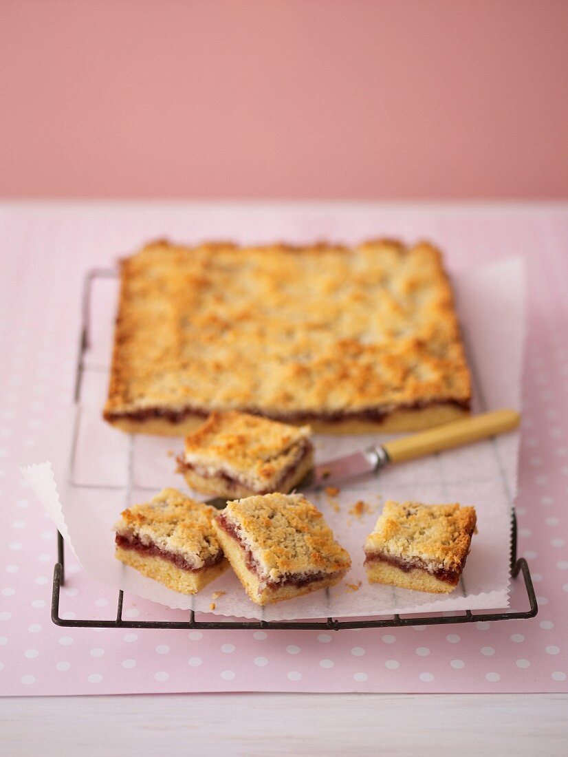 Raspberry and Coconut Slices