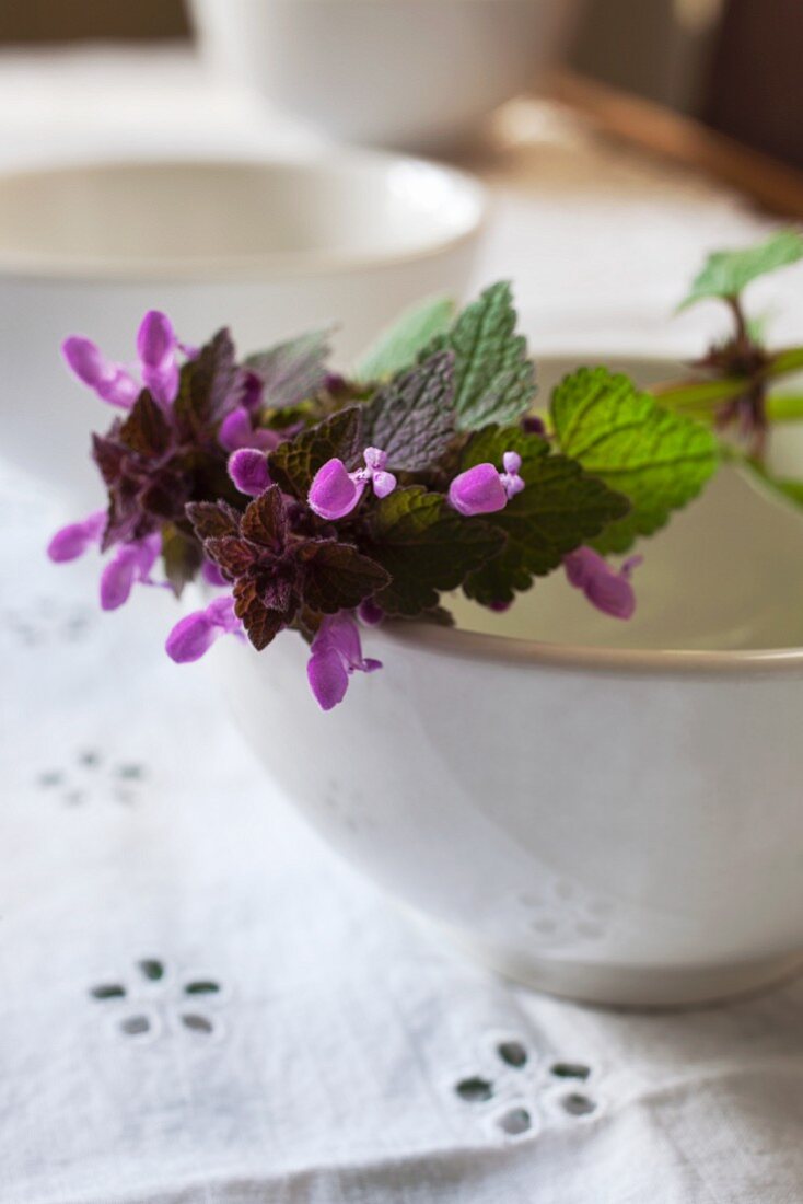 Purple wild flowers on a ceramic bowl (close-up)