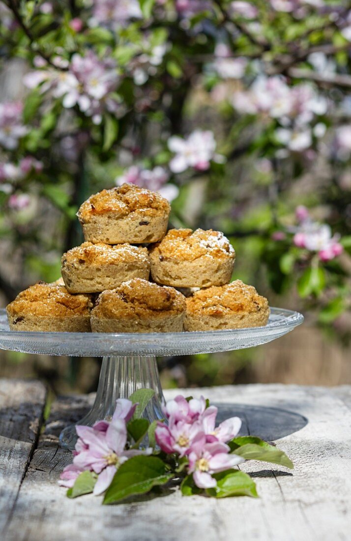 Gluten-free vegan quinoa muffins on a cake stand outside