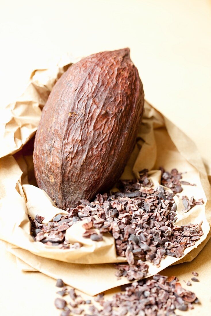 A cocoa fruit and pieces of broken cocoa beans on a piece of paper