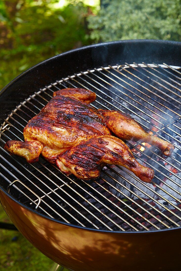 Spicy chicken on a barbecue