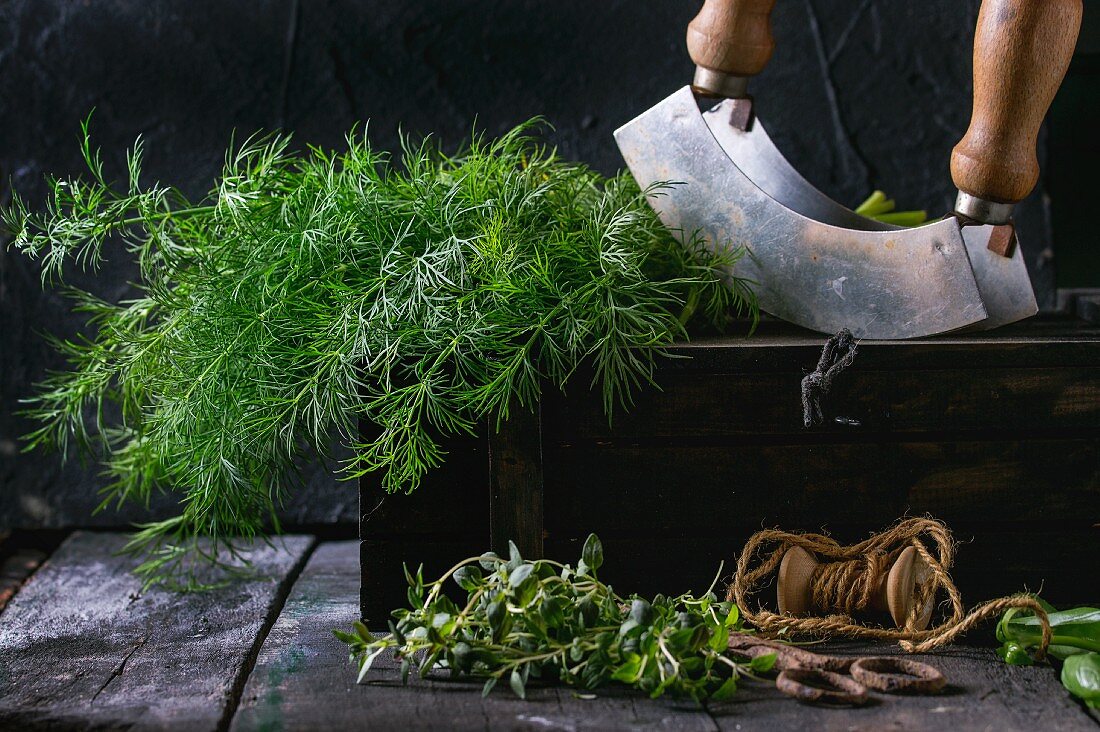 Fresh dill and thyme with an old pair of scissors, twine and a chopping knife on an old wooden table (seen from above)