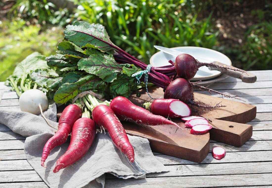 Radishes and beetroot on a garden table