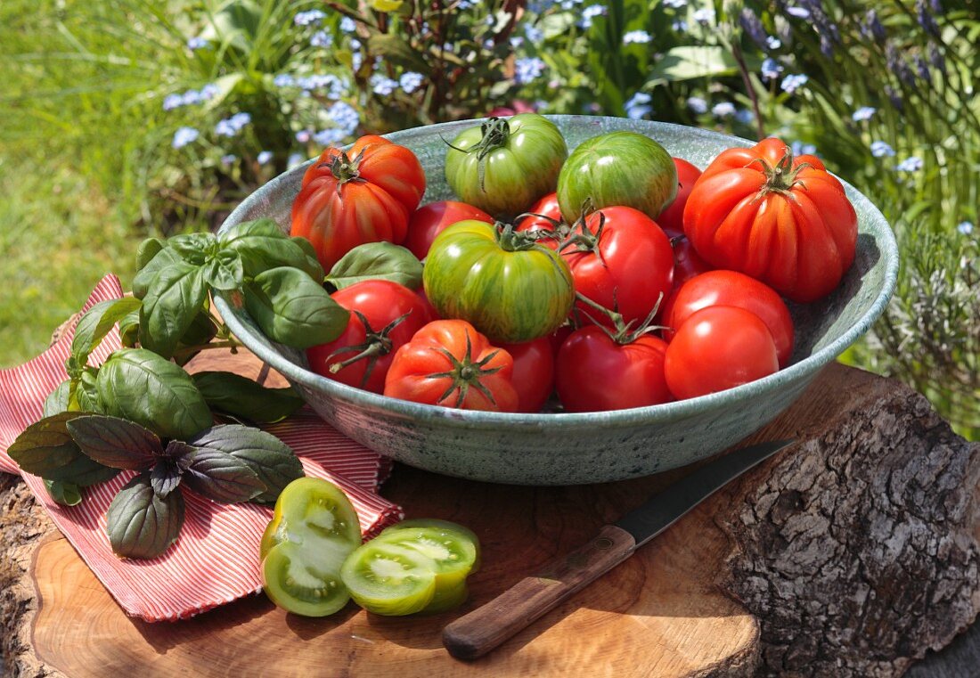 Red and green tomatoes with basil in a bowl on a tree stump