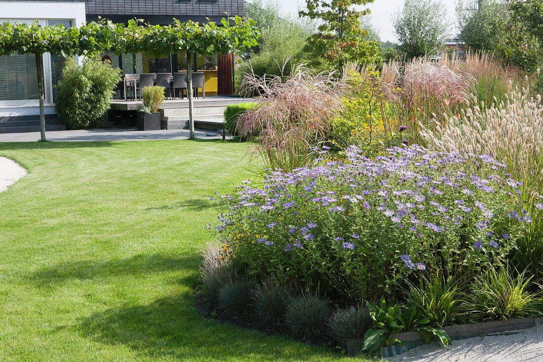 Herbaceous borders and mown lawn in well-tended garden