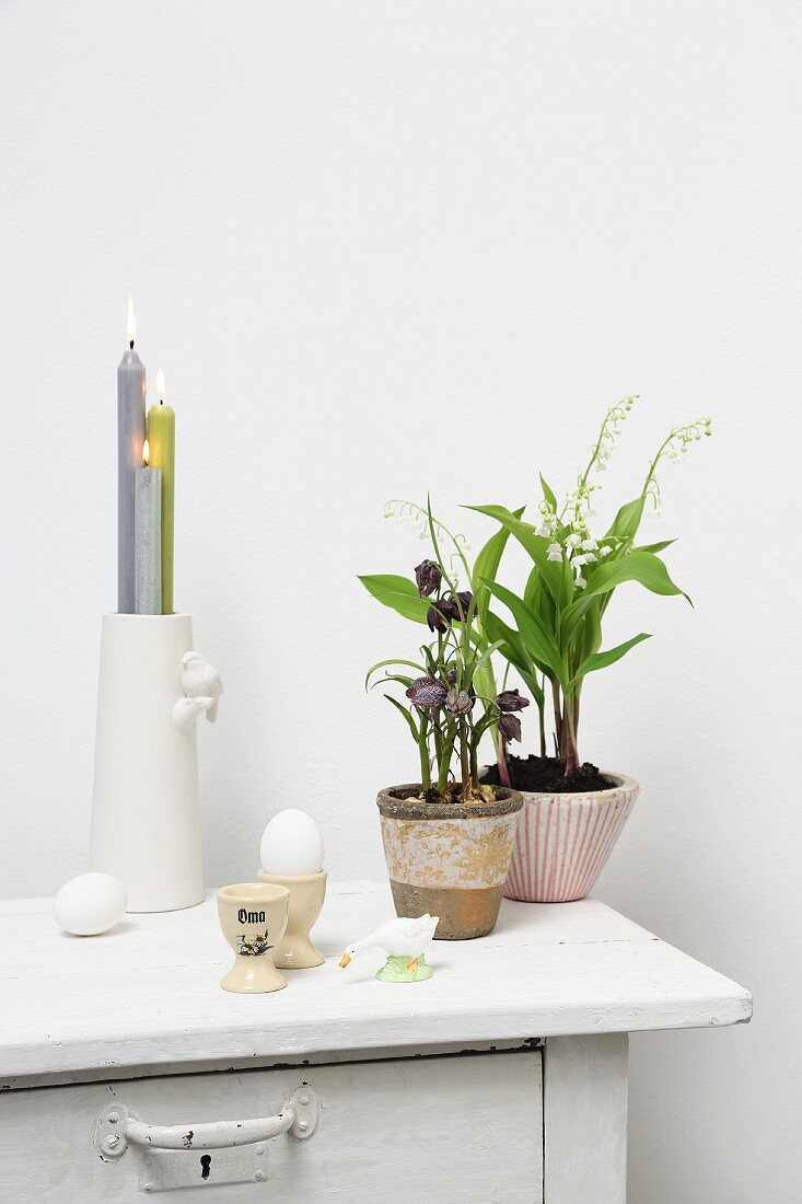 Potted plants next to eggcups and lit candles in vase on top of cabinet