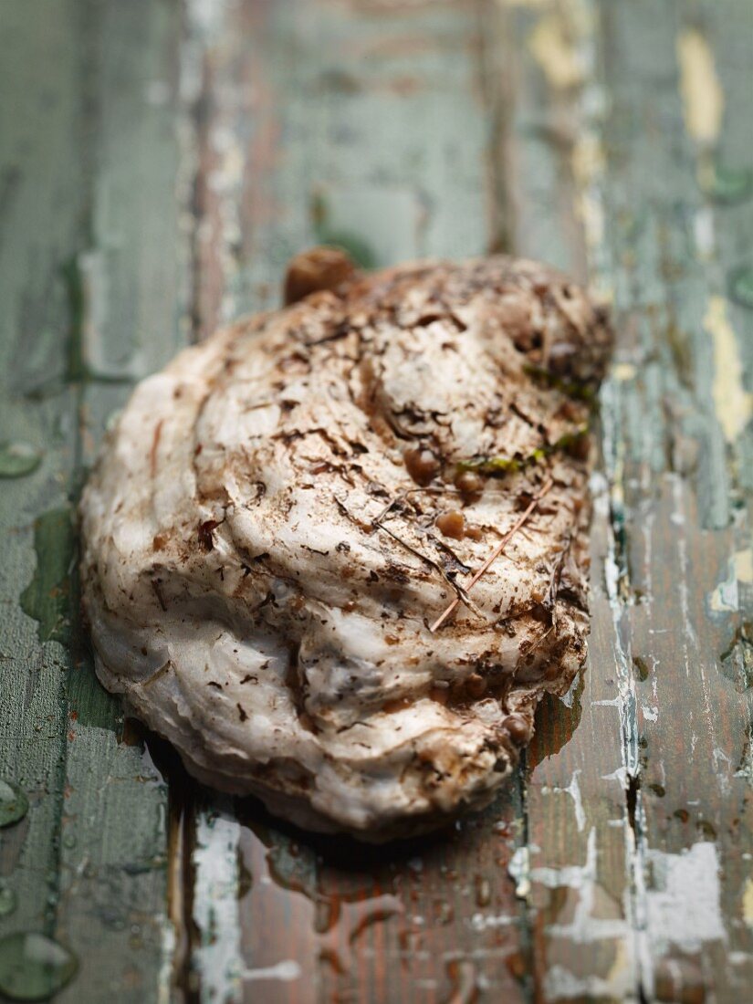 A rappahannock oyster