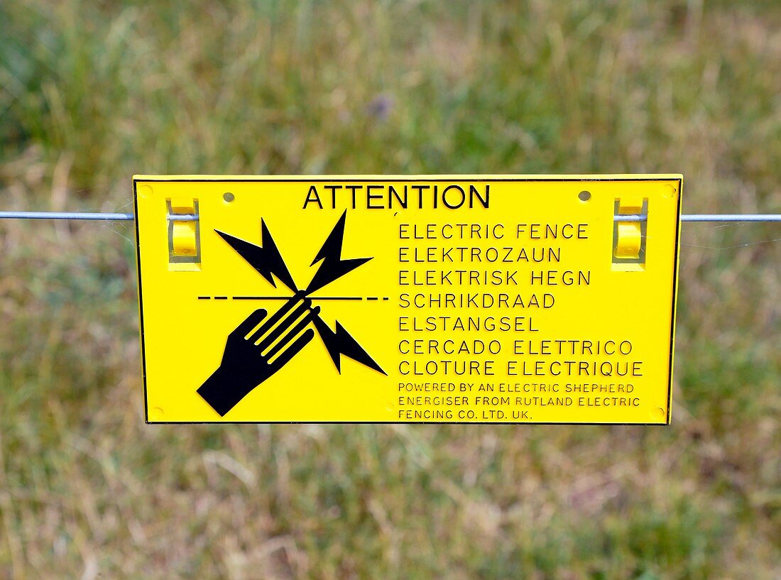 Electric fence