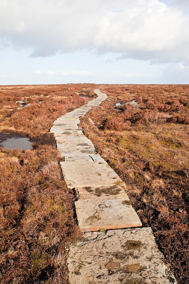 Stone path over peatland