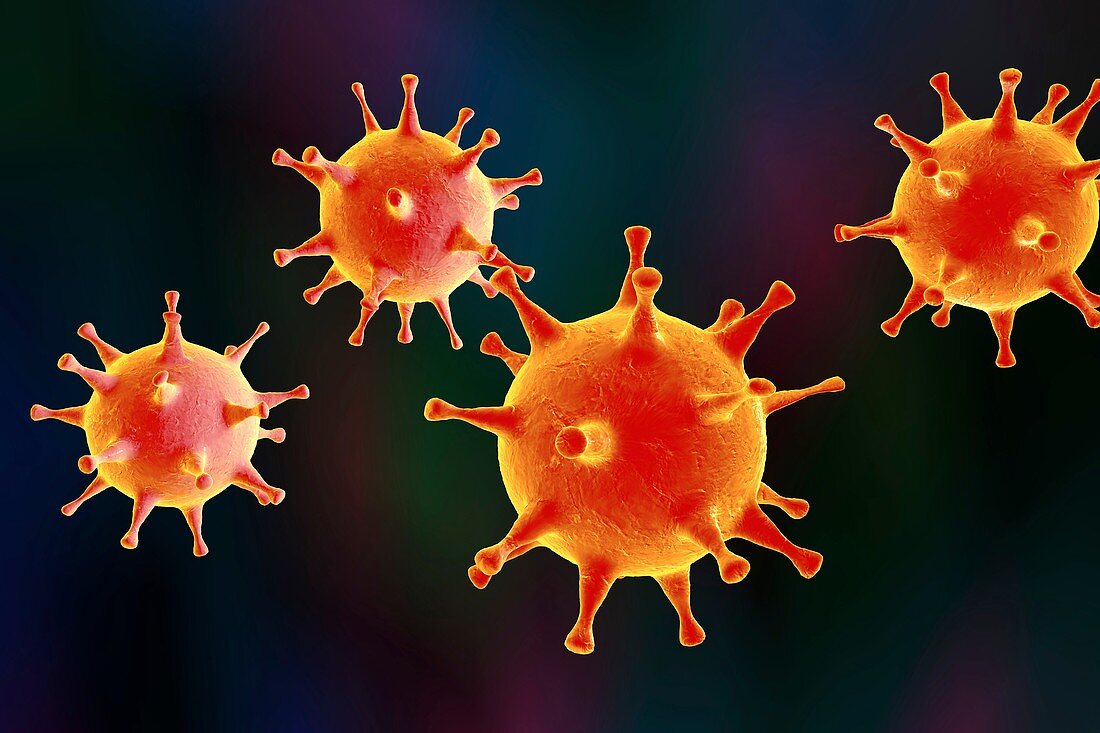 Herpes simplex virus,illustration