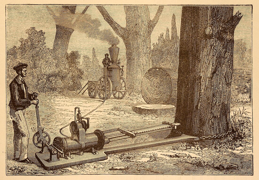 Ransome's tree felling machine