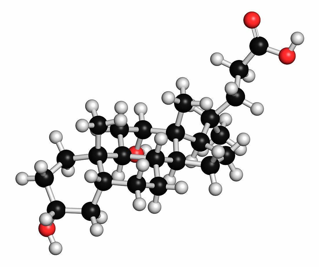Deoxycholic acid bile acid molecule
