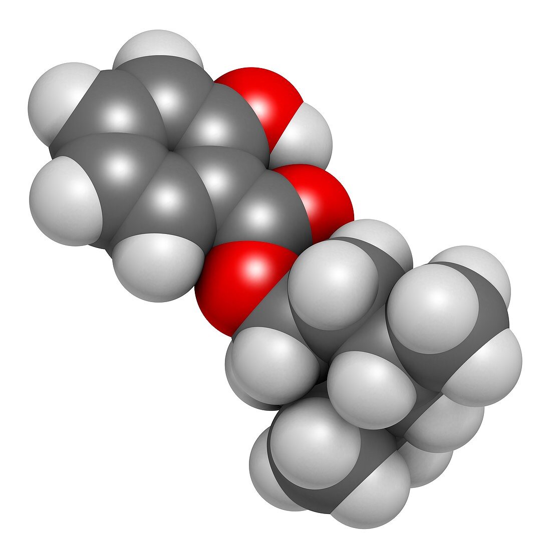 Homosalate sunscreen molecule