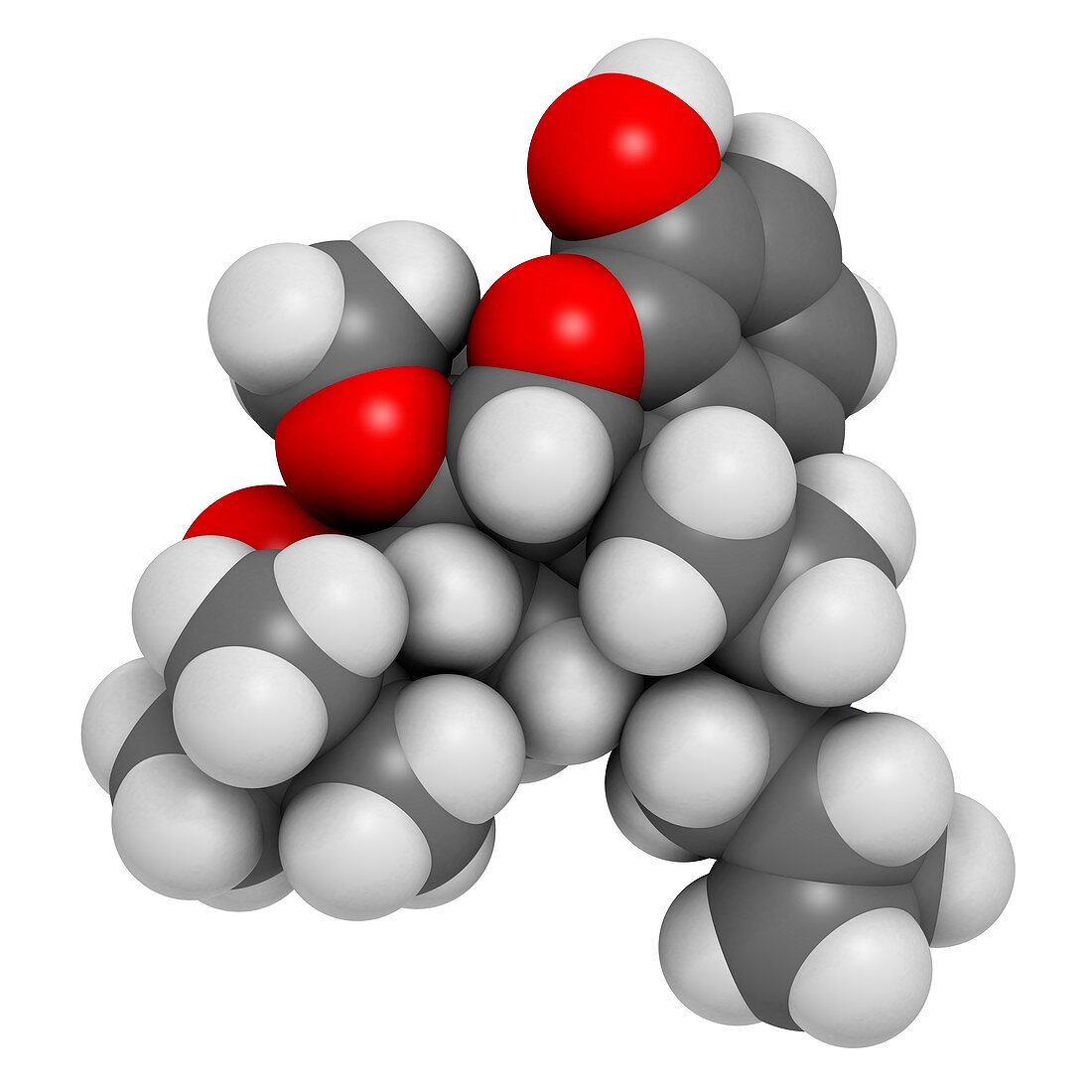 Buprenorphine opioid drug molecule