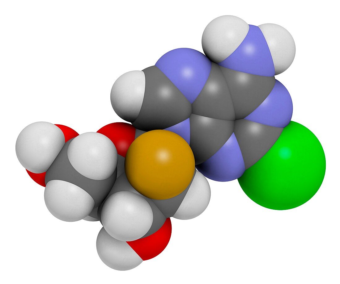 Clofarabine cancer drug molecule