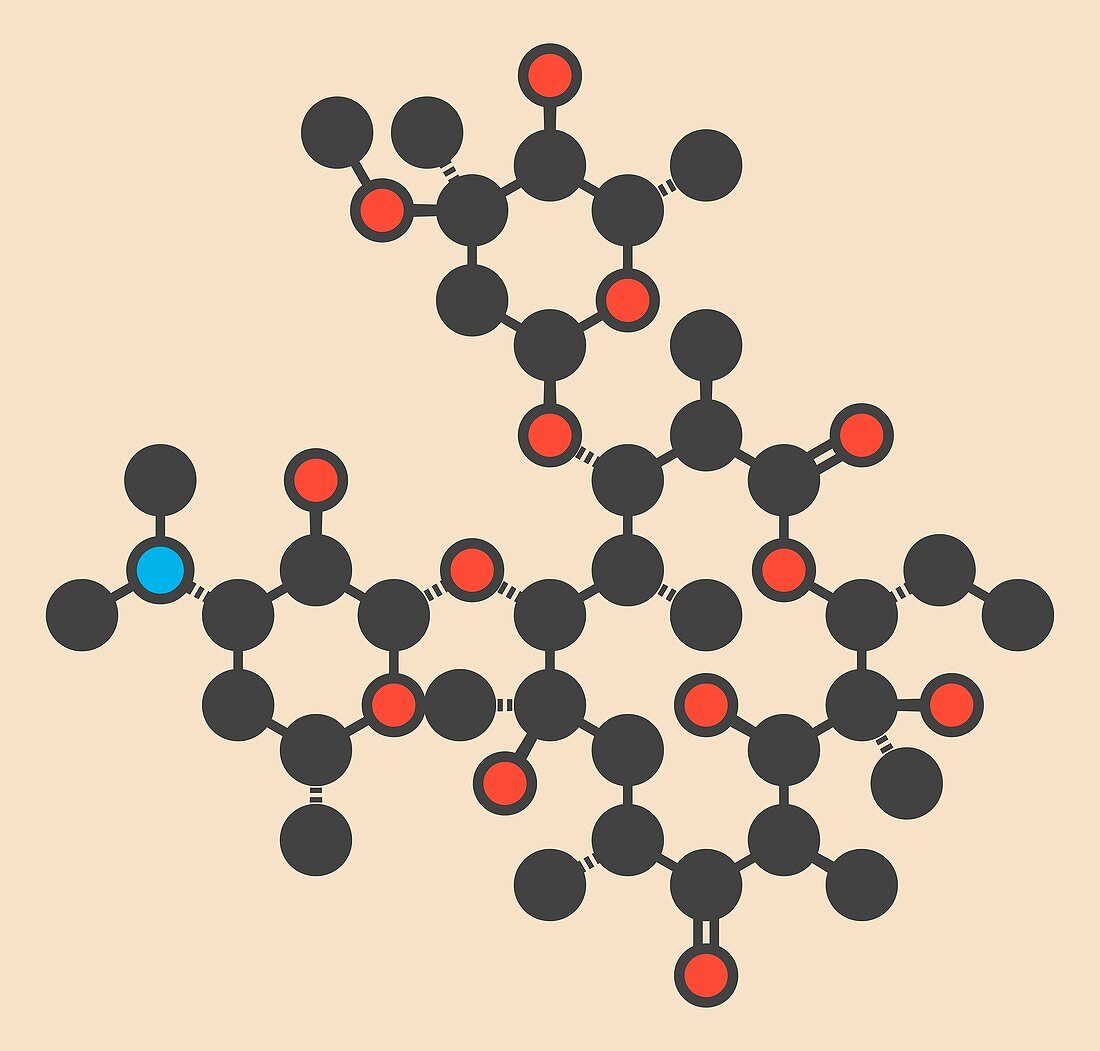 Erythromycin antibiotic drug molecule