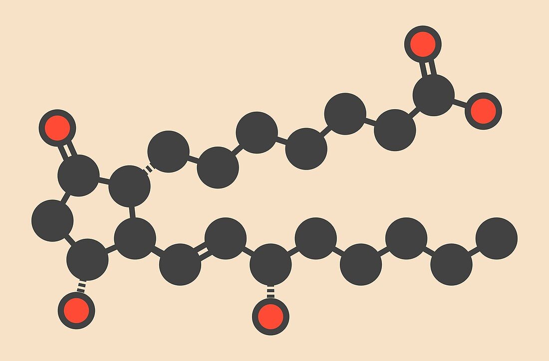 Alprostadil drug molecule