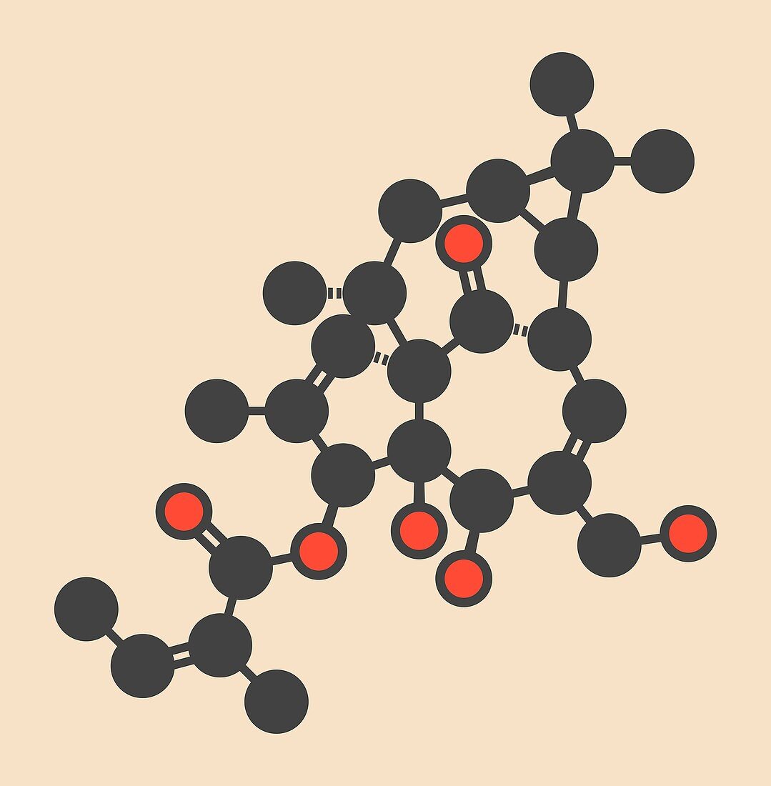 ingenol mebutate drug molecule