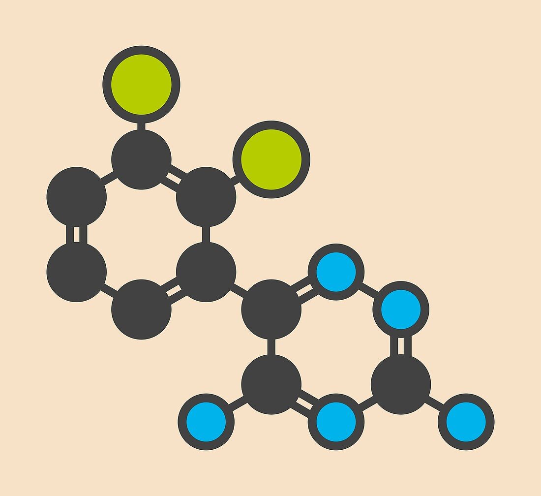 Lamotrigine seizures drug molecule