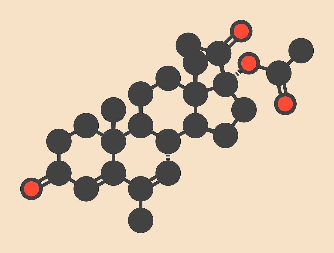 Megestrol acetate molecule