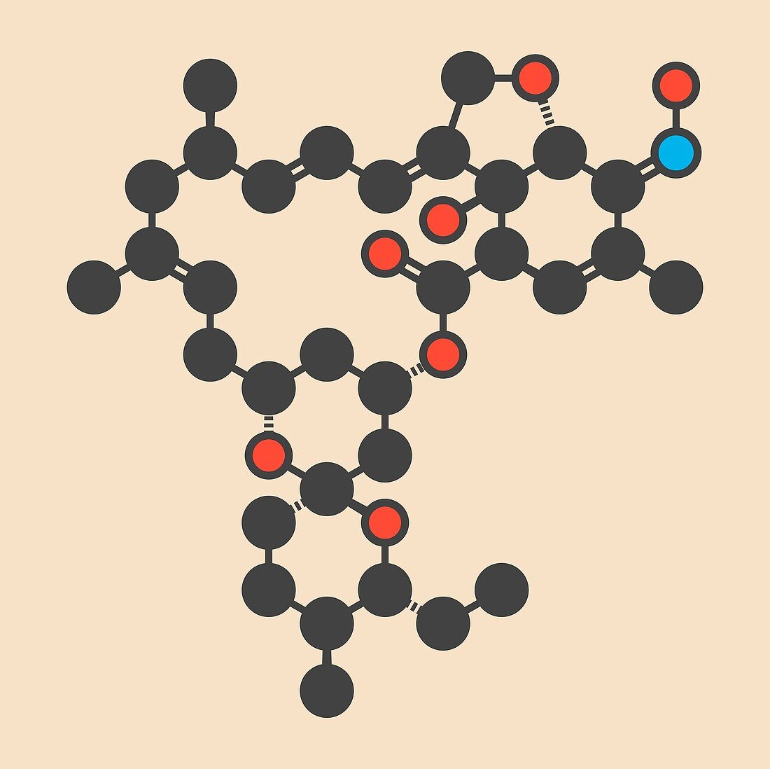 Milbemycin oxime antiparasitic molecule