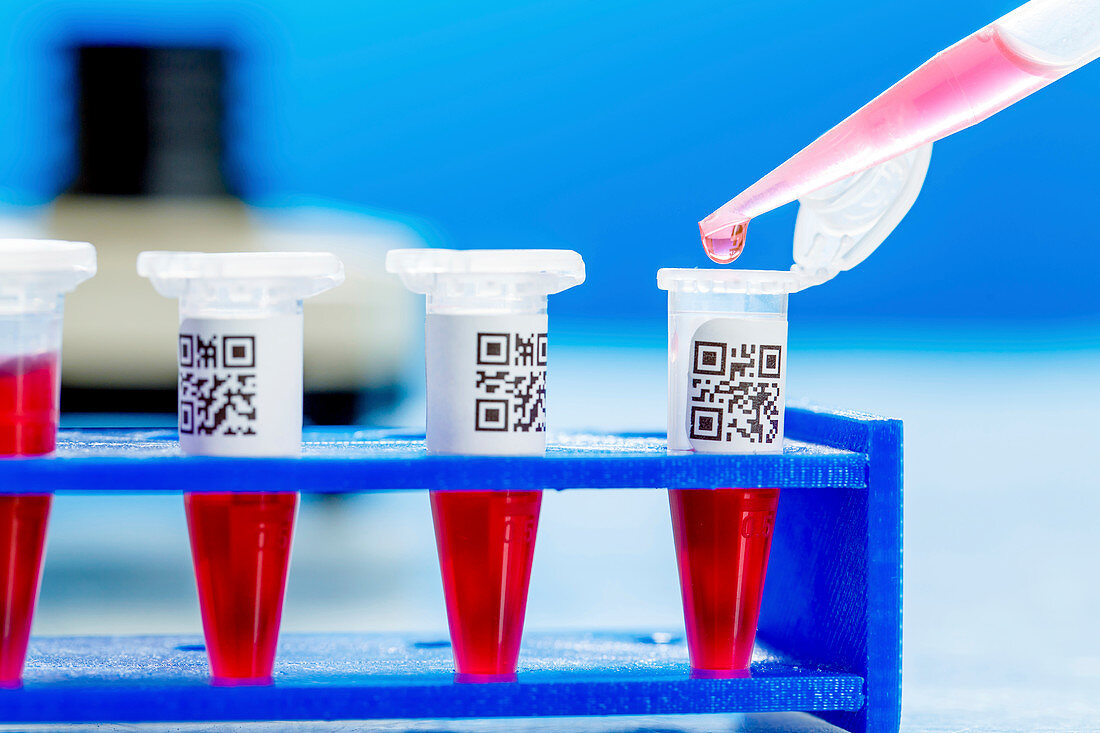 Eppendorf tubes with QR codes