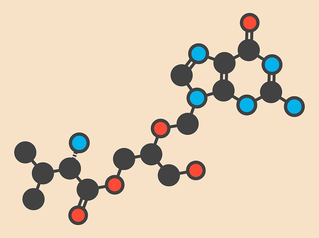 Valganciclovir molecule