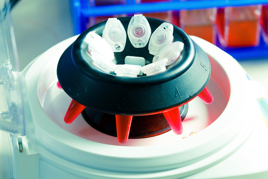 PCR tubes in centrifuge