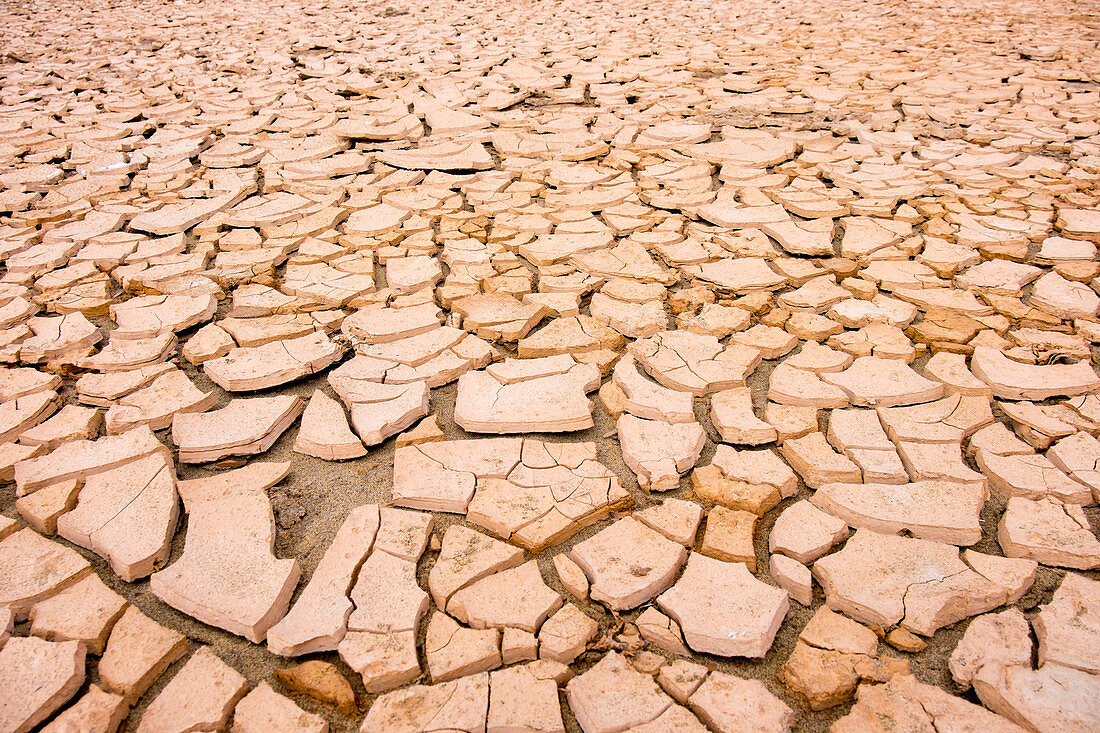 Patterns on cracked earth