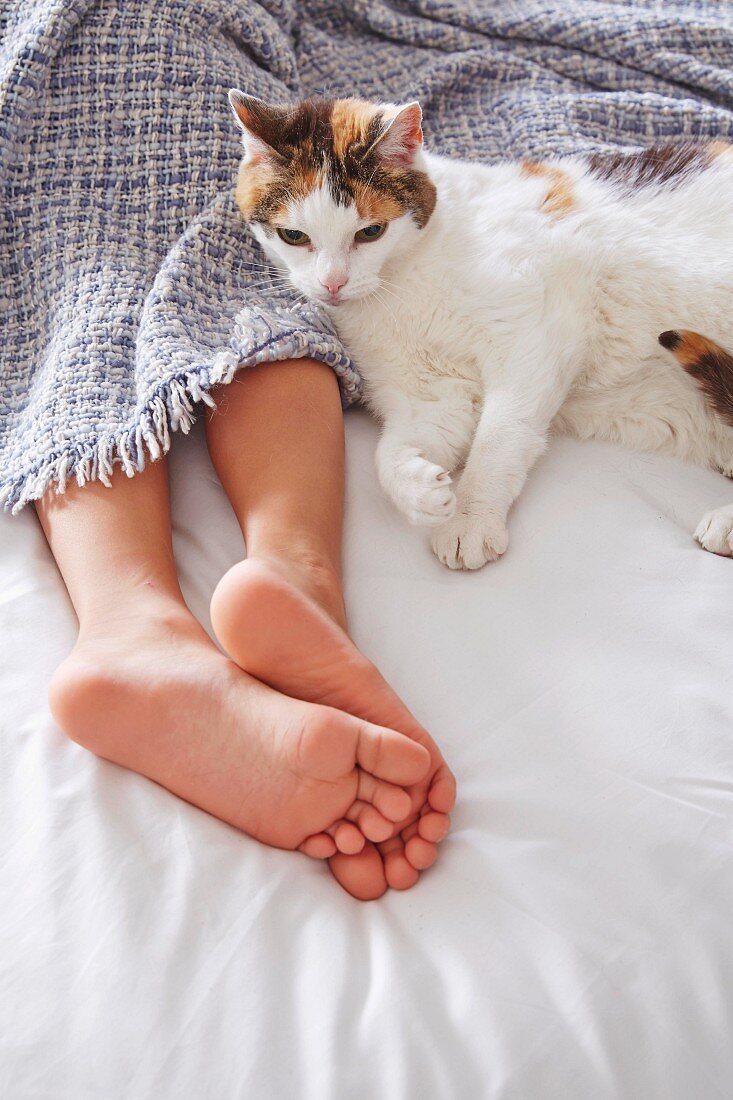 Katze neben Frau im Bett