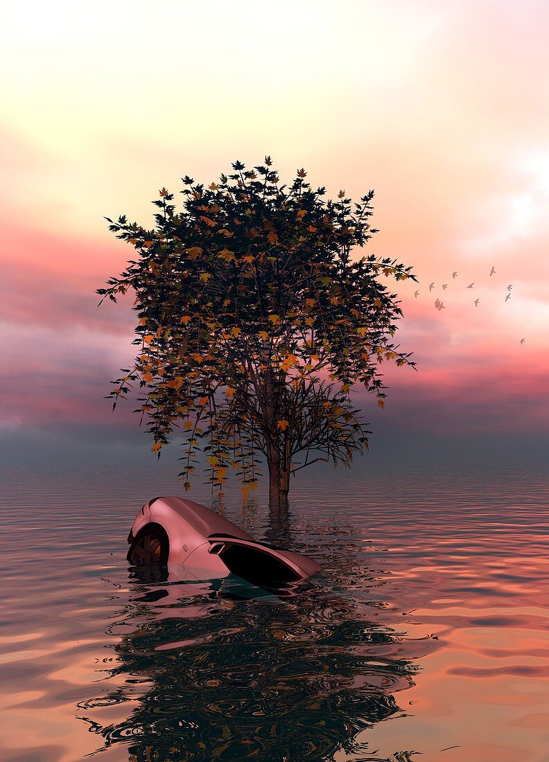 Tree and car in water,illustration
