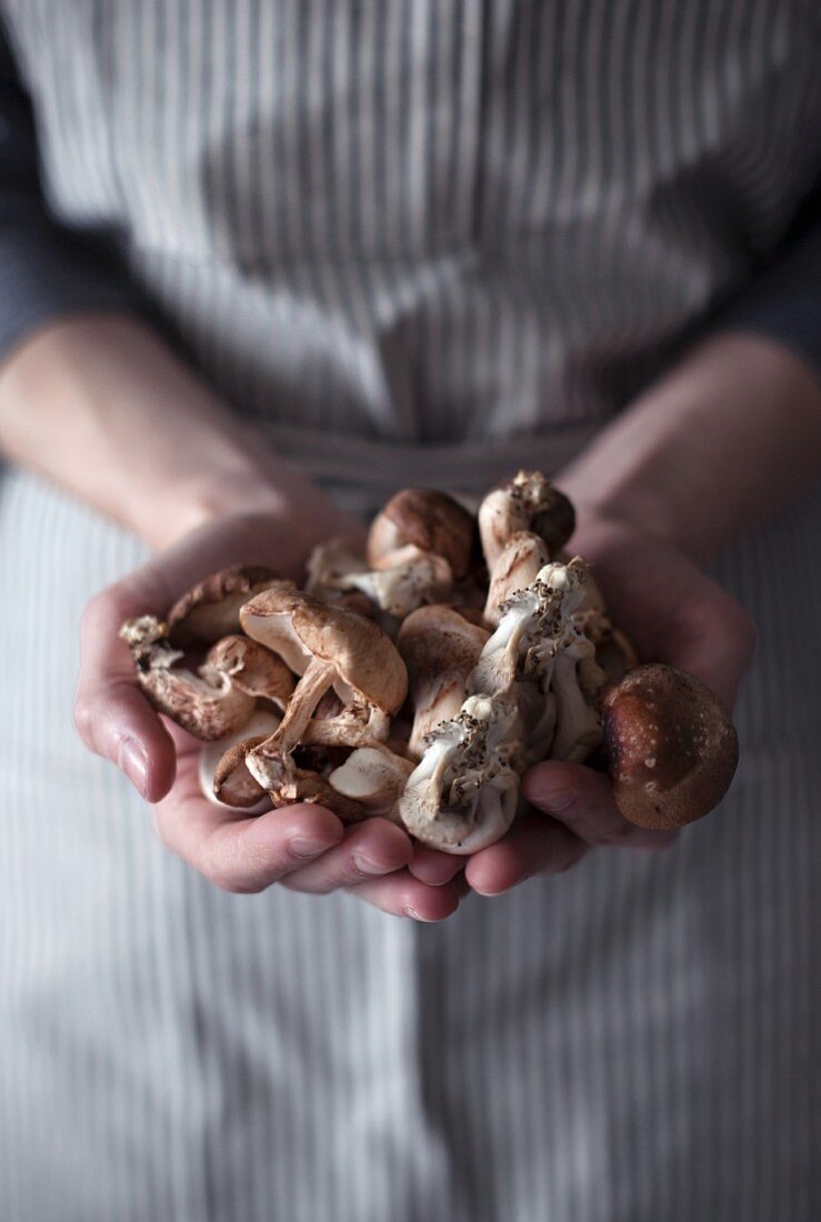 A woman holding freshly harvested wild mushrooms