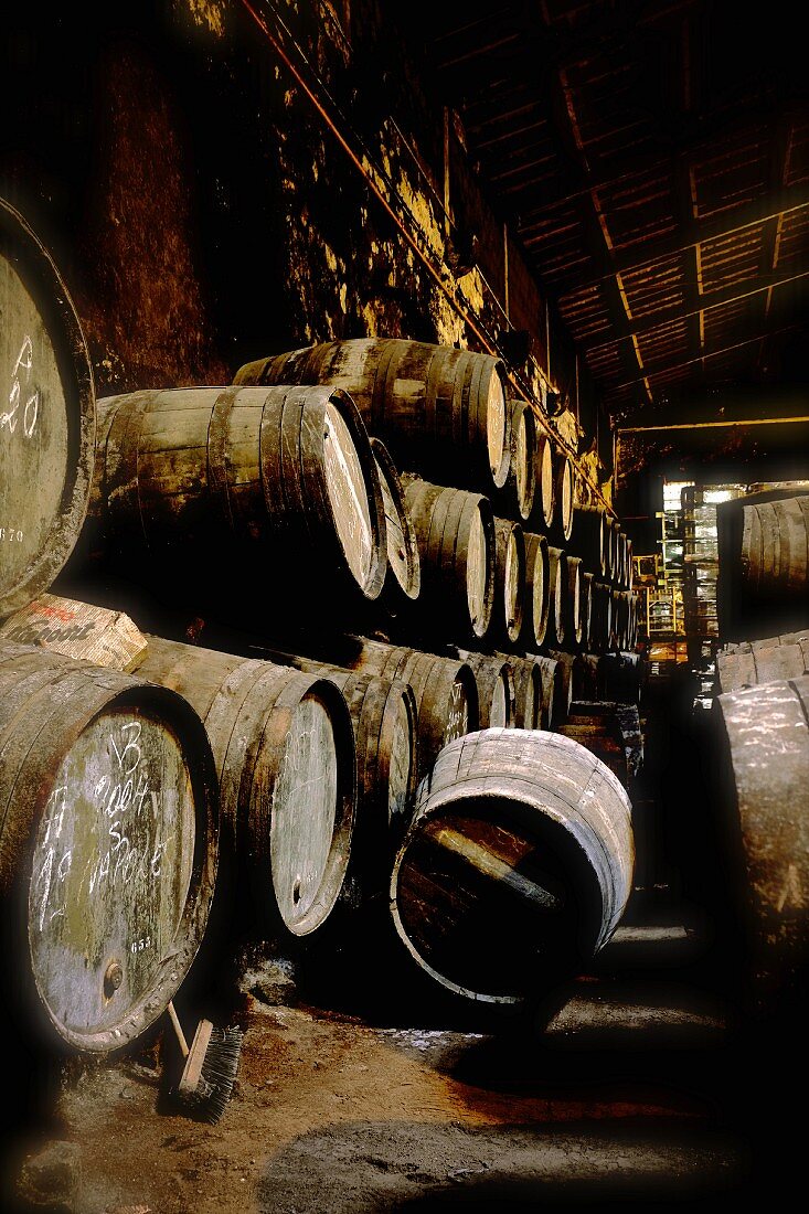 Port wine in wooden barrels in the Niepoort winery, Portugal