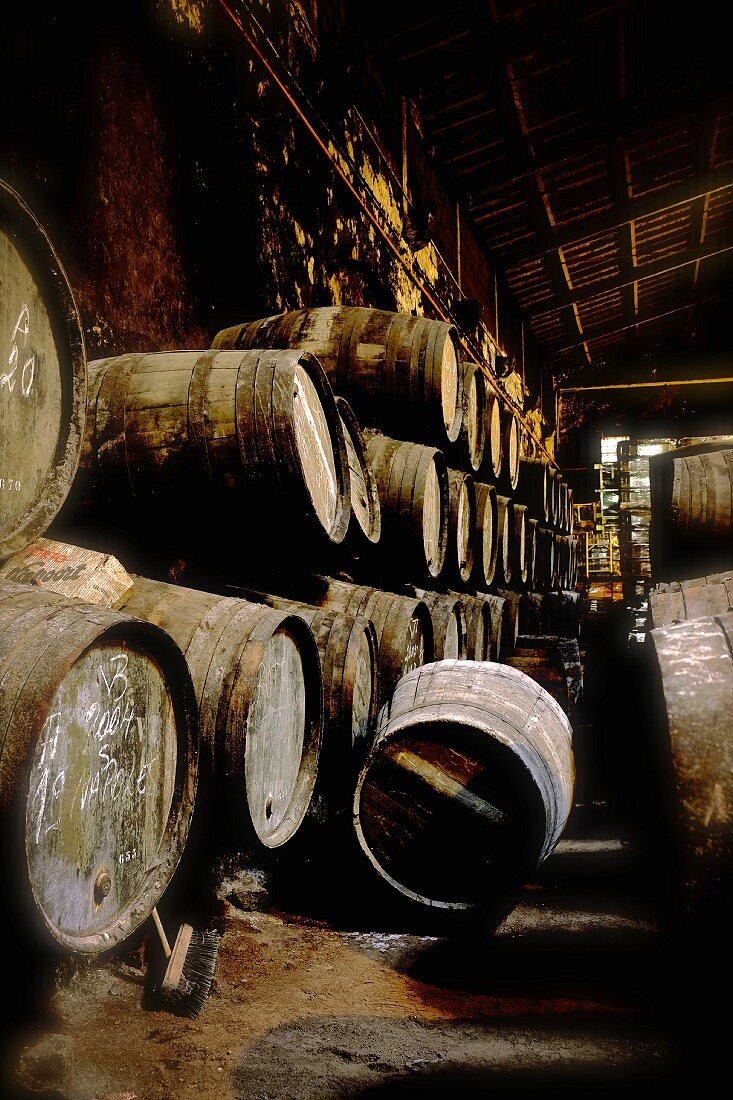 Portwein in Holzfässern im Weinkeller Niepoort, Portugal