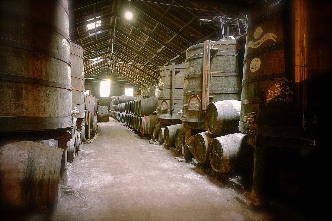 Portwein in Holzfässern im Weinkeller Niepoort, Portugal
