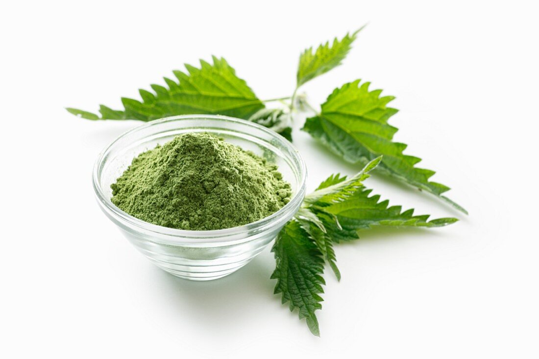 Stinging nettle powder in a glass bowl