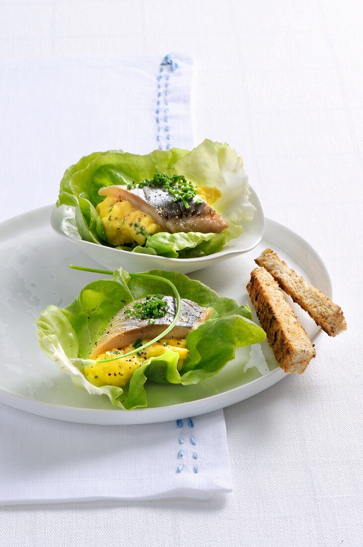 Herring with scrambled egg on lettuce leaves