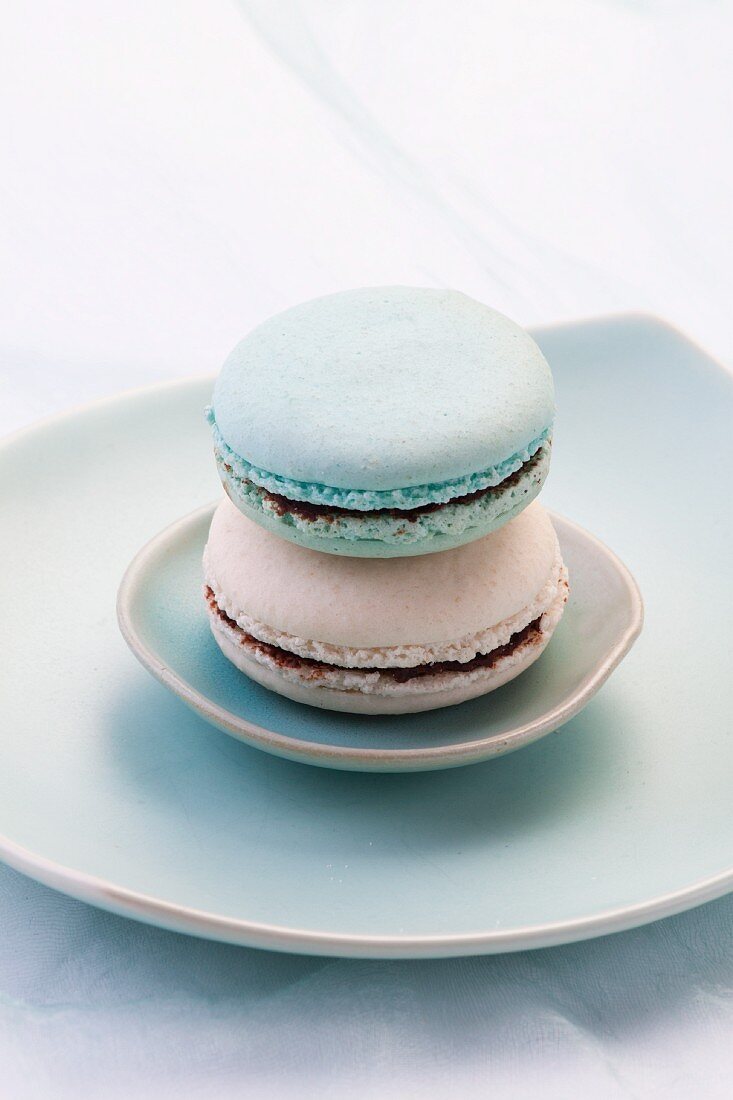White and turquoise macaroons
