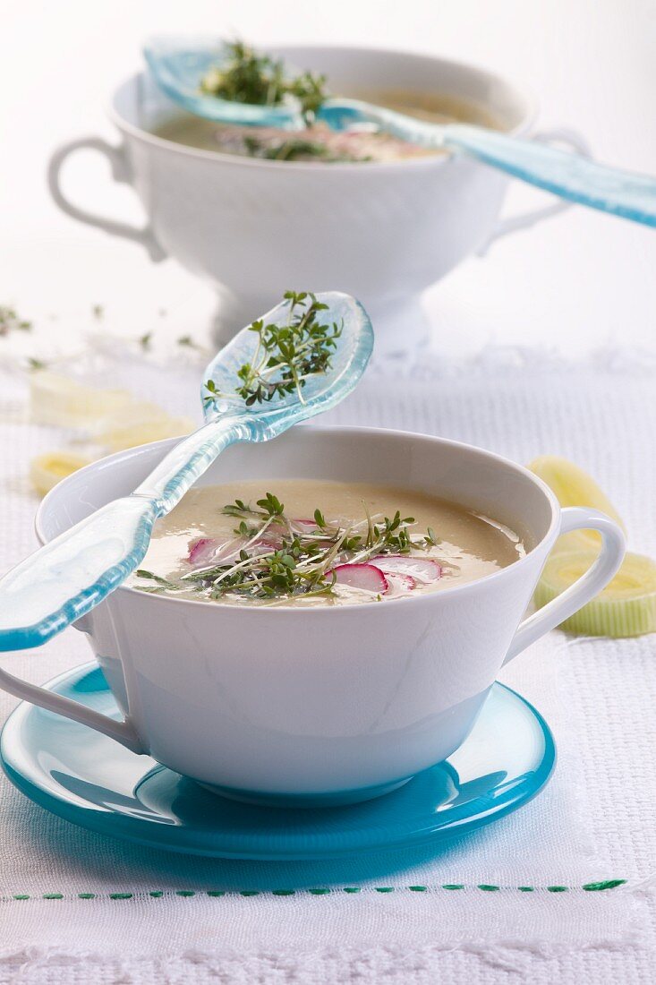 Lauchcremesuppe mit Kresse und Radieschen