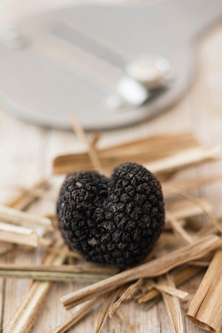 A fresh summer truffle