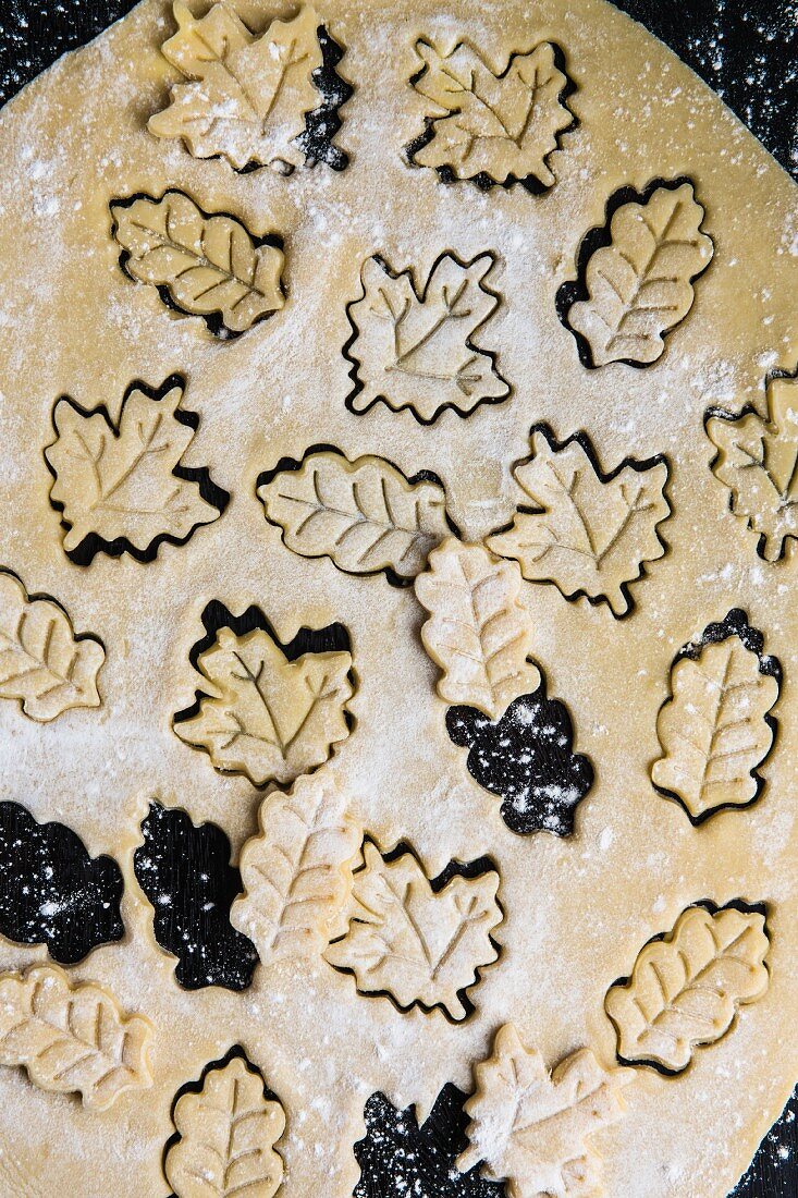 Leaf-shaped biscuits cut out of biscuit dough