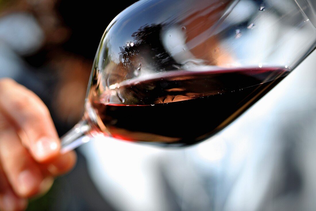 A hand holding a glass of red wine