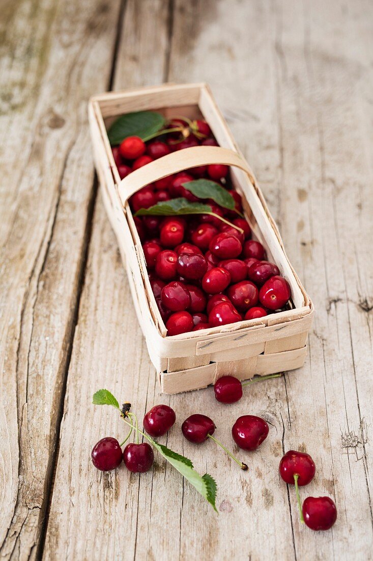 Freshly harvested cherries in a basket on a rustic wooden table