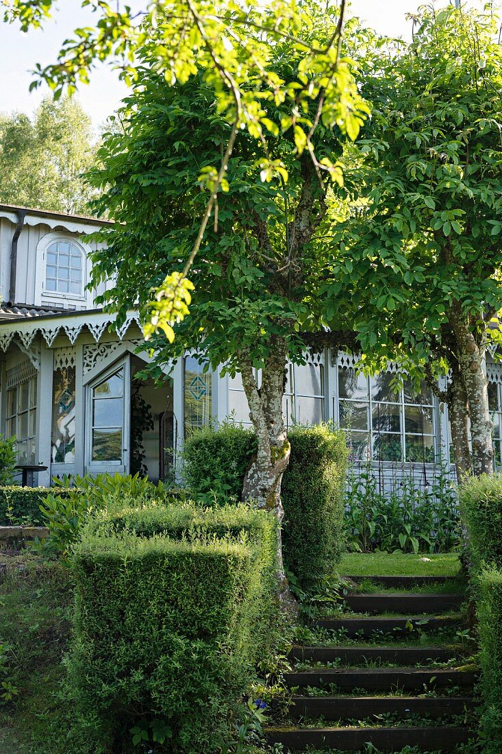 Steps flanked by two trees and leading to traditional conservatory